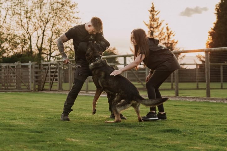 stage-1-1500x0-c-default